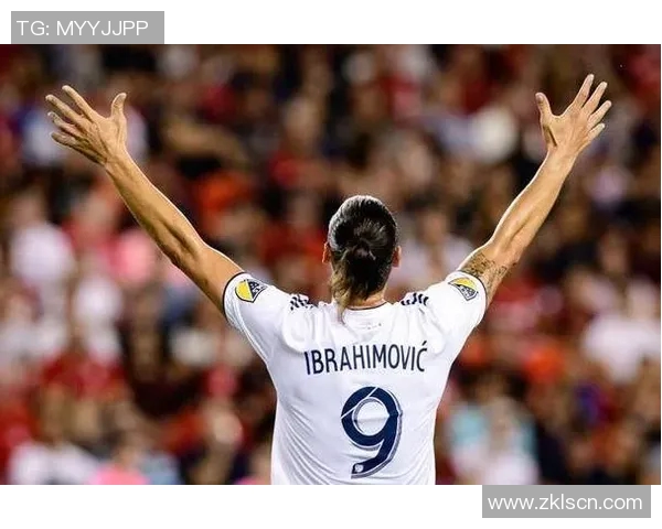 伊布发文致敬前队友：永远是我的兄弟